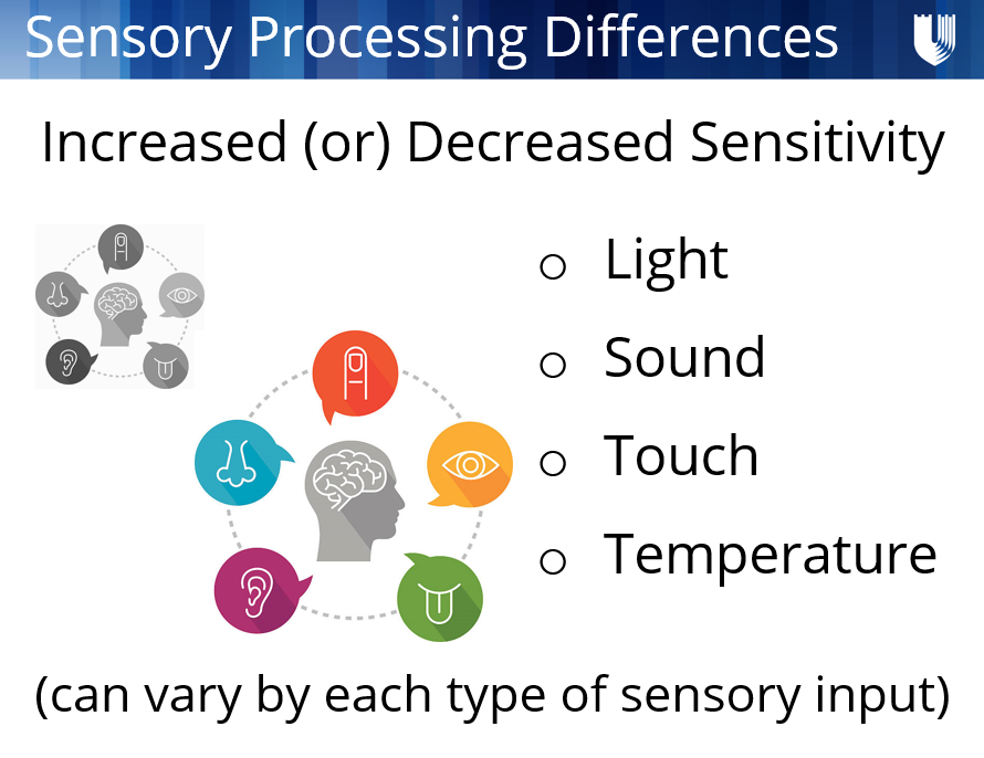 presentation slide showing sensory sensitivities