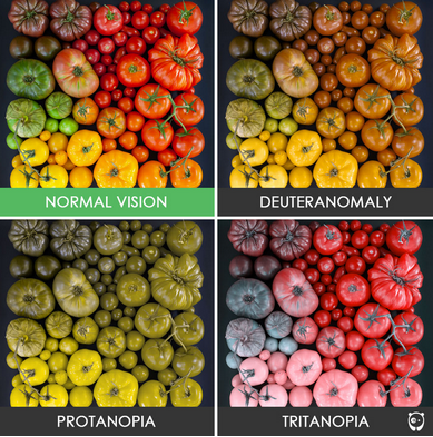 image of tomatoes representing how colorblind people perceive different colors