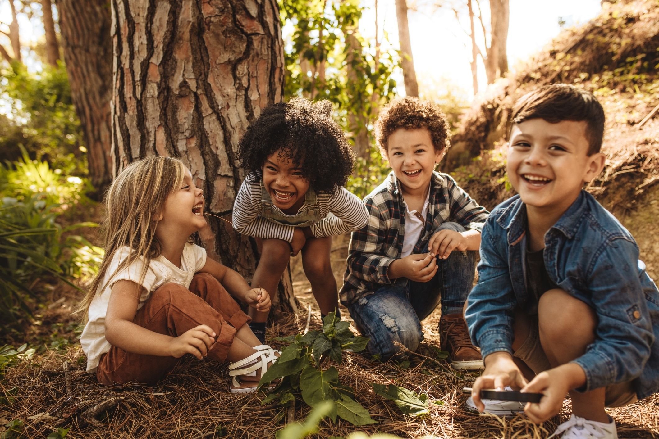 Children playing in the woods