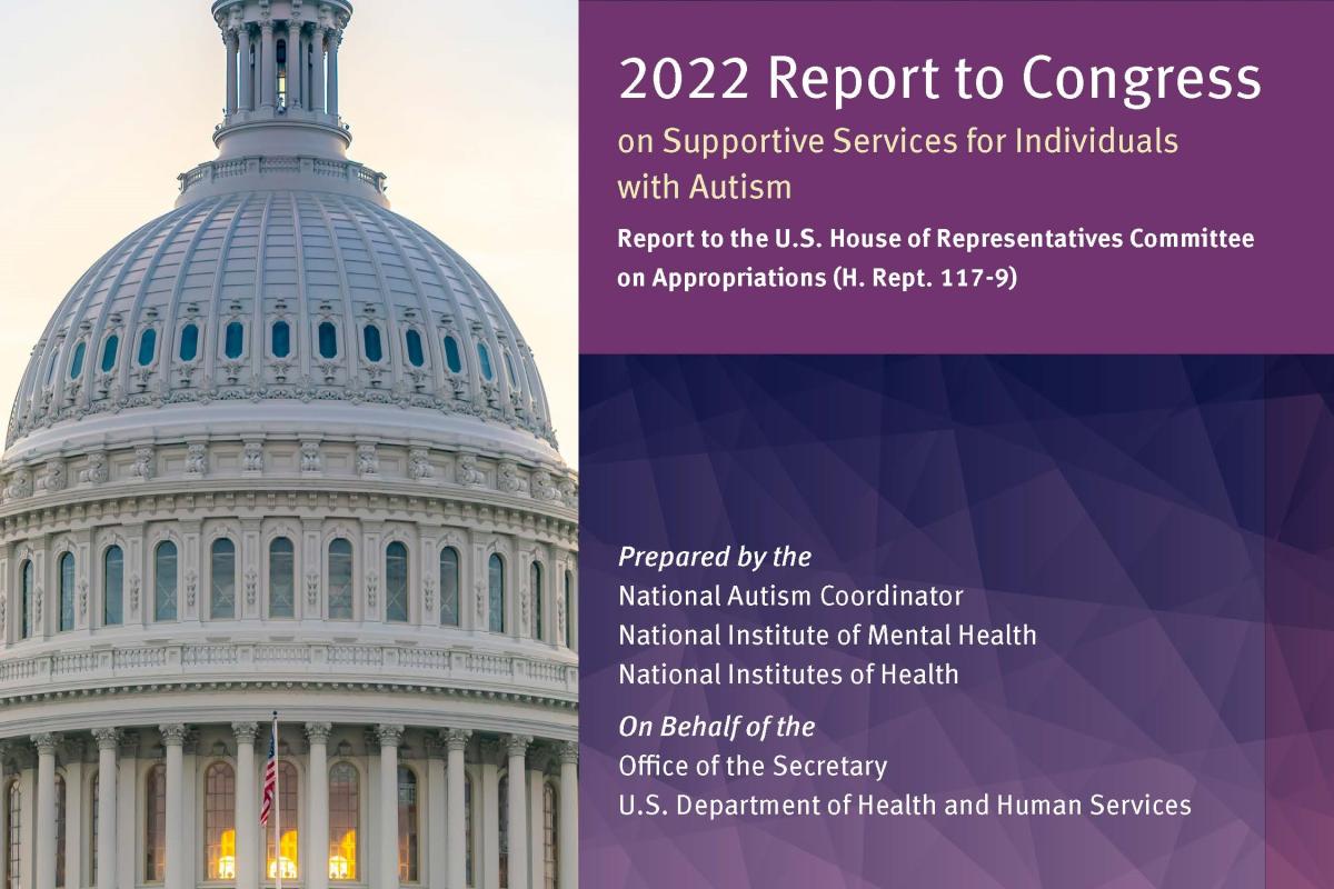 United States Capitol building with title of document over purple background