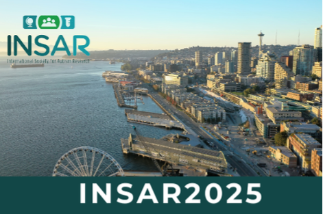 Aerial view of Seattle harbor with text INSAR 2025