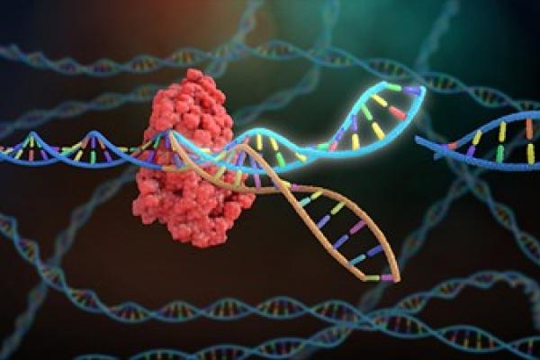 Graphic of cells and DNA chain