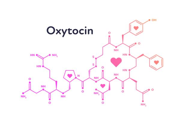 Oxytocin molecules