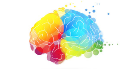 colorful brain